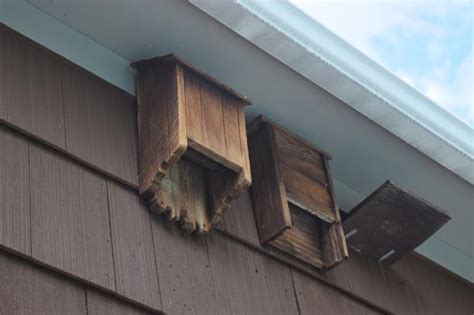 why people hang metal bat on the house|are bat houses good for you.